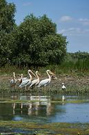 Lebada Luxury Resort & Spa