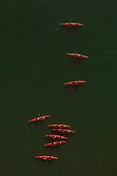 Lebada Luxury Resort & Spa