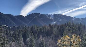 Elexus Poiana Brasov