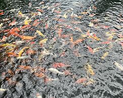 An Home - Vinhomes Central Park