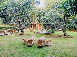 Kailash Farms Earthen Life