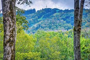 2 Mi to Elk Mountain: Secluded Union Dale Home!