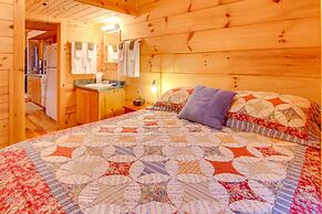Hendersonville Creekside Cabin: Near Dupont Forest