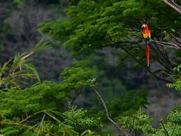 Sonidos del Agua in Quepos