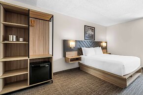 Best Western Buffalo Inn & Suites