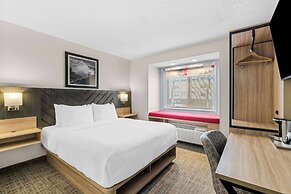 Best Western Buffalo Inn & Suites