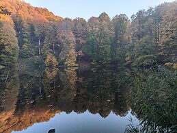 Glamping Dream Domes Ismayilli