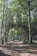 Le Domaine Saint Ange