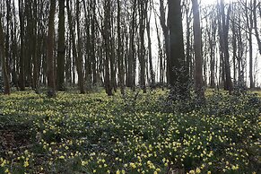 Le Domaine Saint Ange