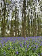 Le Domaine Saint Ange