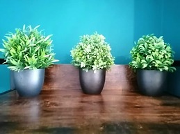 The Snug, Centre of Morpeth