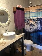 Magellanicus Rustic Suites