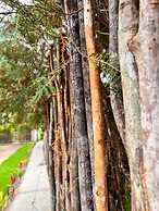 Pousada kaçuá Milagres