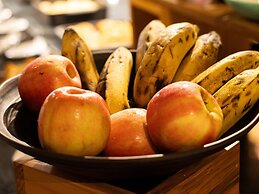 Ibis Barra Do Garcas