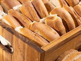 Ibis Barra Do Garcas