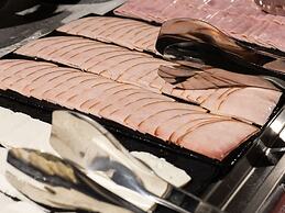 Ibis Barra Do Garcas