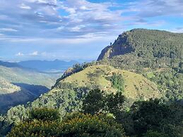 Ella Golden view guest