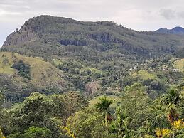 Ella Golden view guest