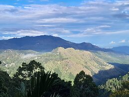 Ella Golden view guest