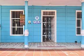 MANGO TREE HOSTEL 4 20