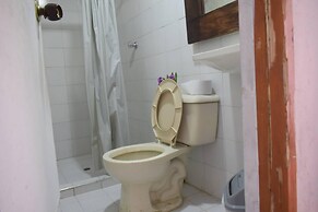 MANGO TREE HOSTEL 4 20