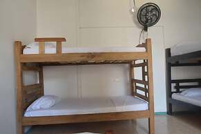 MANGO TREE HOSTEL 4 20