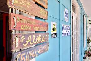 MANGO TREE HOSTEL 4 20