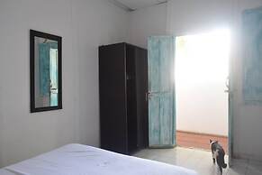 MANGO TREE HOSTEL 4 20