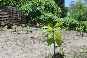 MANGO TREE HOSTEL 4 20