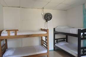 MANGO TREE HOSTEL 4 20