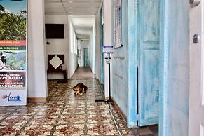 MANGO TREE HOSTEL 4 20