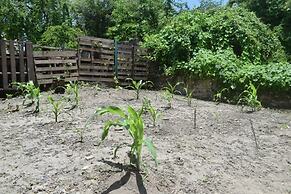 MANGO TREE HOSTEL 4 20