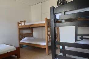 MANGO TREE HOSTEL 4 20