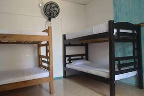 MANGO TREE HOSTEL 4 20