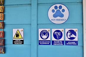 MANGO TREE HOSTEL 4 20