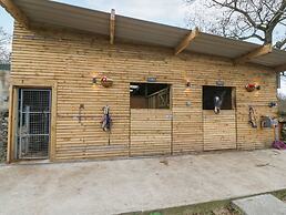 Coed y Glyn Bach Equestrian