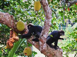 The Jungle Loft - Galle