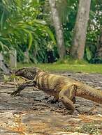 The Jungle Loft - Galle