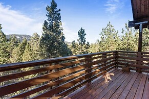 TreeHouse on Rainbow