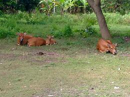 Villa Tenganan, Candidasa, Bali