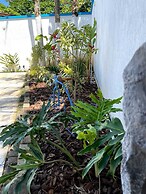 Bene Beach - Guarujá