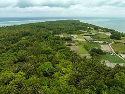 Island Zephyr