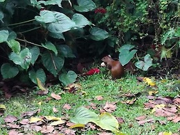 HOTEL TANGARA ARENAL