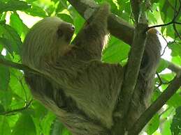 HOTEL TANGARA ARENAL