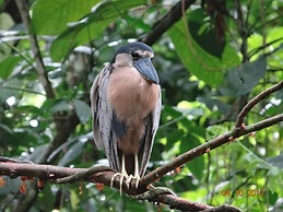 HOTEL TANGARA ARENAL