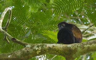 HOTEL TANGARA ARENAL