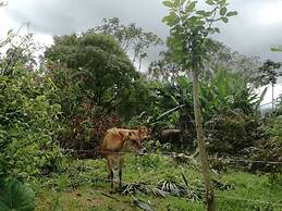 HOTEL TANGARA ARENAL
