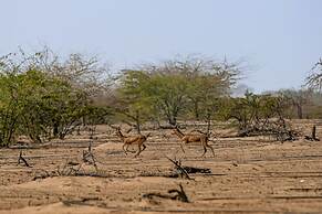 Siniya Island Resorts