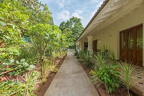 Amã Stays & Trails Palmeira De Socorro, Goa