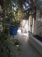 Casa Zitouna- Guest House - Kef, Tunisia